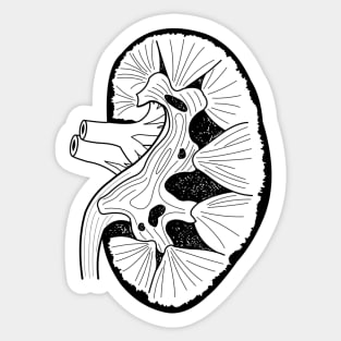 Kidney Line Art large Sticker